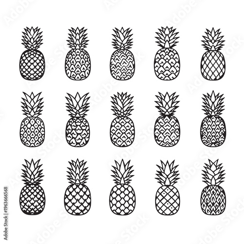 Hand Drawn Pineapples Collection Isolated on White BackgroundMinimalist Tropical Fruit Pattern