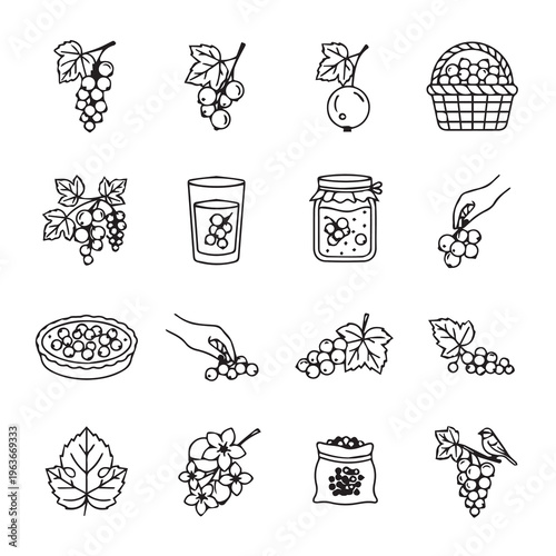Currants Icons: Fresh Berries Jams Pies and Leaves in Minimalist Line Art Style