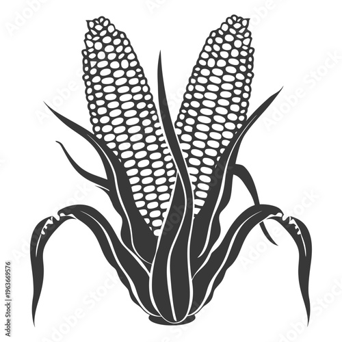 A black and white illustration of two corn cobs with leaves