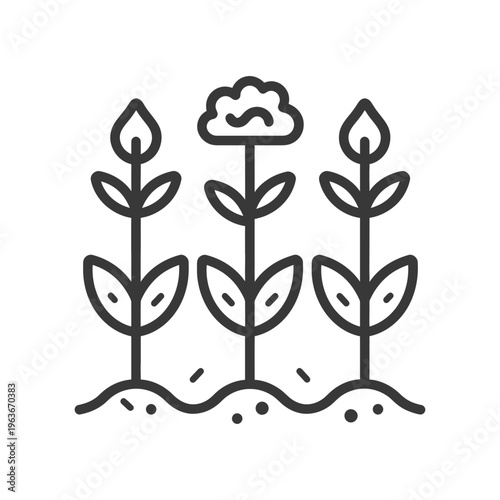 Three stylized plants growing from a line of soil