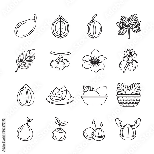 Exotic Fruits and Botanicals Line Art Icons: Detailed Elements for Natural Health and Wellness Design