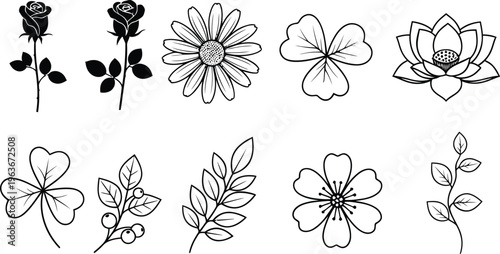 Various types of flowers and plant structures illustrated in black and white isolated on transparent background