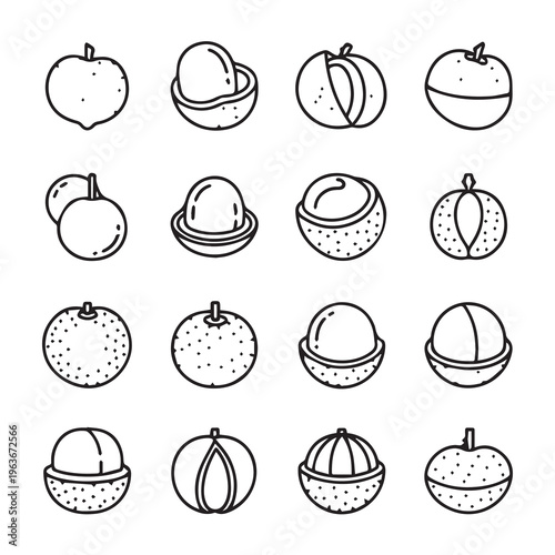 Exotic Tropical Fruits Line Art Icons: Whole and Halved Vector Graphics for Design