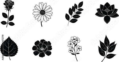Collage of eight different types of flowers and their leaves isolated on transparent background