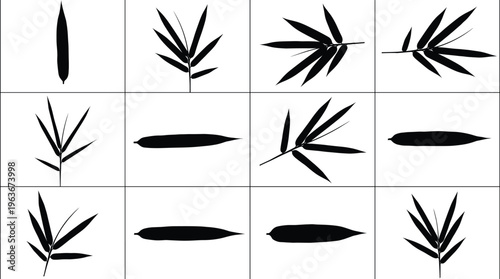 Plant silhouettes collection featuring bamboo leaves, reed shapes, botanical forms, tropical foliage, nature design, asian style vector illustration