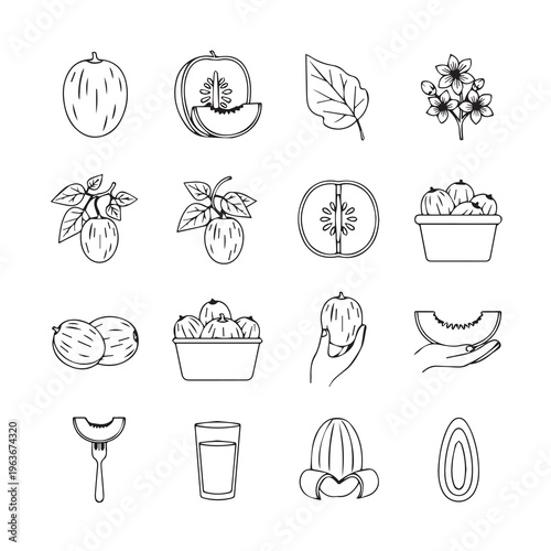 Fresh Fruits Variety Collection Hand Drawn Icons Set Isolated White Background Healthy Eating