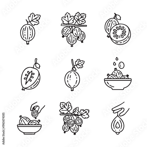 Gooseberries Icon Set: Whole Halved and Prepared Berries with Leaves on Branch