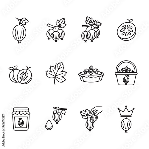 Gooseberry Icons: Fruit Pie Jam Leaf Slice & Crown Line Art Minimalist Vector Graphics
