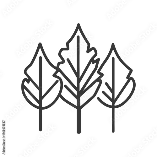 Three simple monochrome stylized leaves with linear details appear