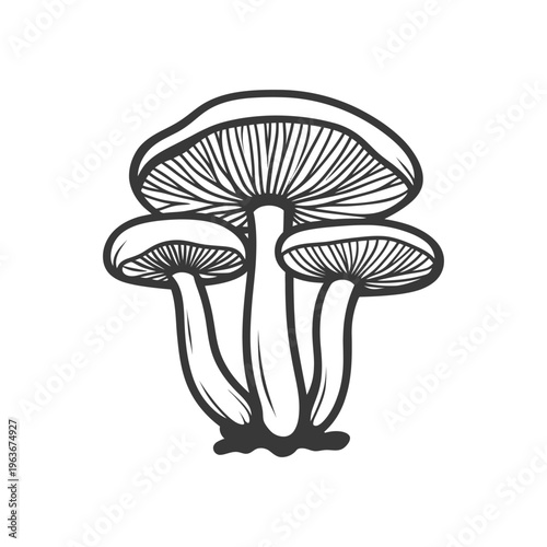 A black and white illustration of clustered mushrooms on a white background