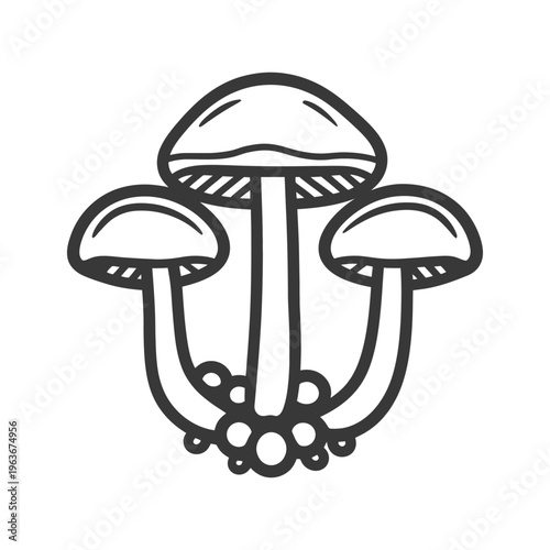 Illustration of three mushrooms with round caps and stems