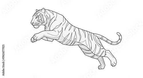 A tiger jumping through the air.
