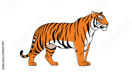 A tiger standing in profile view.