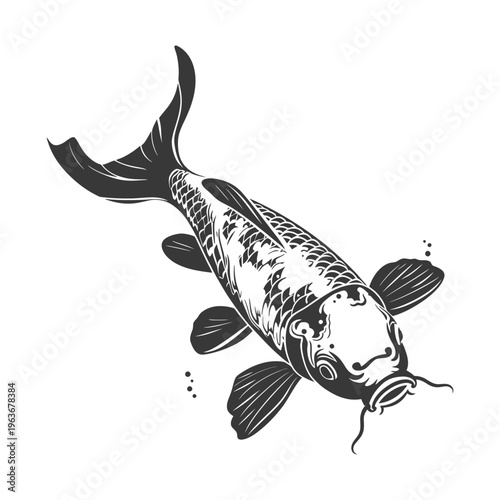 Stylized illustration depicts a black and white carp fish design