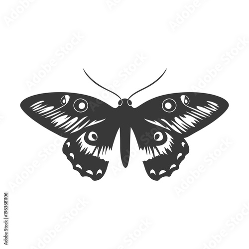 An illustration featuring a symmetrical moth with elaborate wing patterns