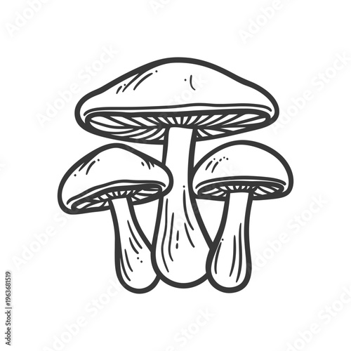 A black and white illustration of clustered mushrooms is presented
