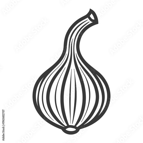 Black and white illustration shows a single onion bulb