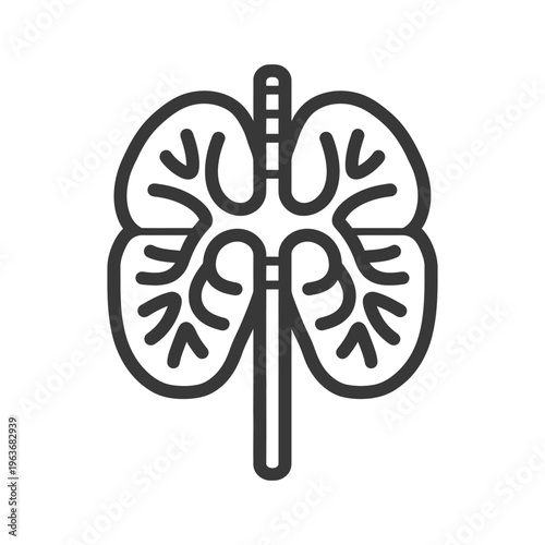 A simplified black and white diagram of human lungs