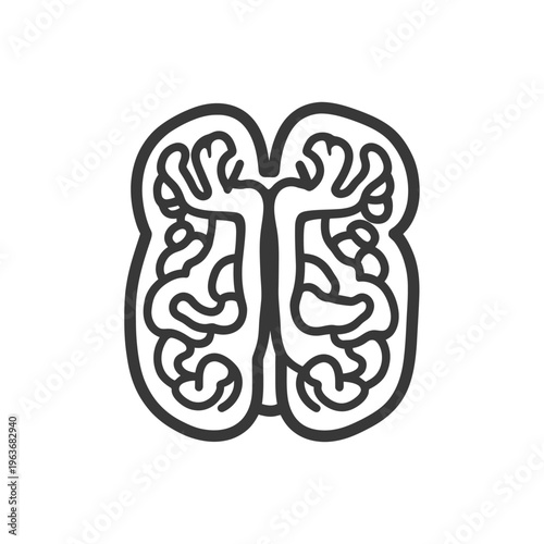 A graphic depiction of the human brain in outline form