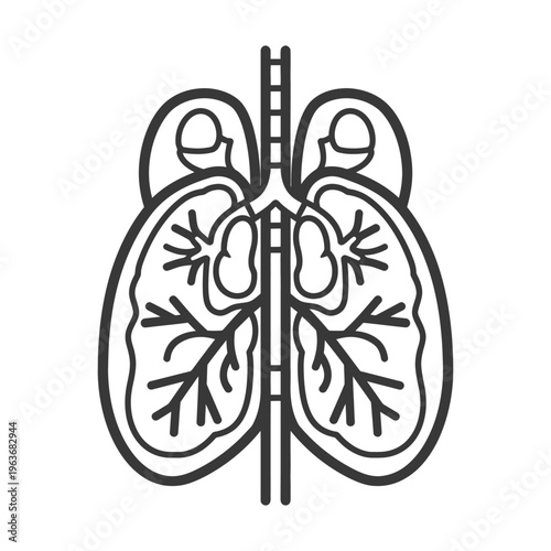 A simple black and white illustration depicting the human respiratory system