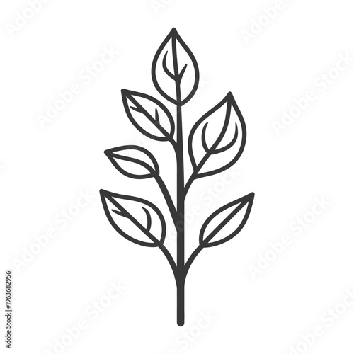 A black and white illustration of a plant branch with leaves
