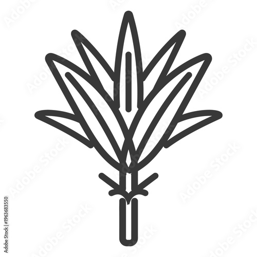 A simple symmetrical illustration of a plant with sharp leaves