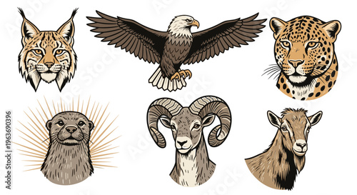 Collection of six diverse wild animal portraits including a lynx, eagle, leopard, otter, ram, and goat