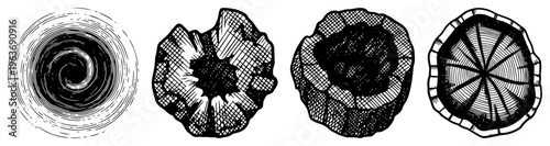 Collection of organic hand drawn wood log cross sections and tree stumps in vintage engraving style