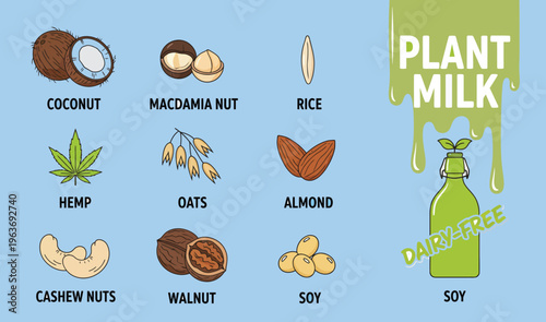 Plant milk ingredients vector set, dairy-free nut and grain icons, vegan milk collection