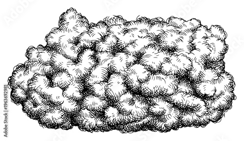Detailed hand drawn fluffy cloud or smoke illustration in vintage engraving style