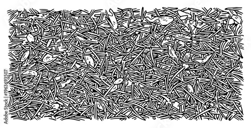 Dense hand drawn texture of pine needles and dried grass in detailed black and white sketch