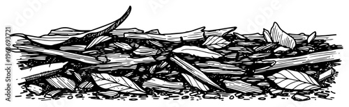 Detailed hand drawn forest floor with scattered branches twigs and dried leaves