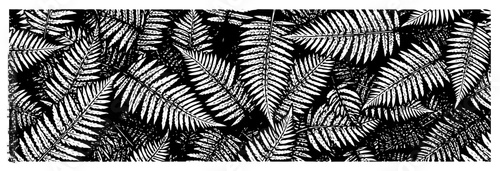 Intricate black and white pattern of fern leaves in botanical sketch style