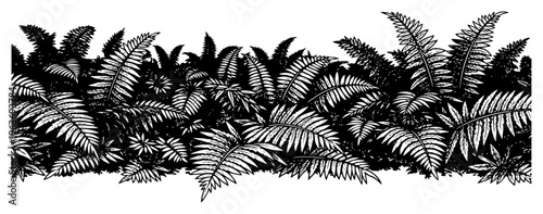 Botanical border of fern plants in detailed hand drawn ink illustration style