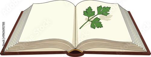 Open book with blank pages displaying single sprig of green parsley on right page, isolated on transparent background.