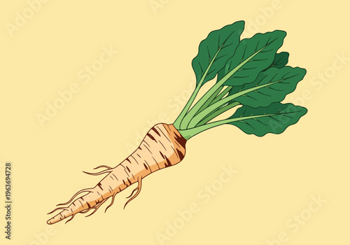 Horseradish root with fresh green leaves representing maror bitter herbs on yellow background for jewish passover seder plate and traditional meal.