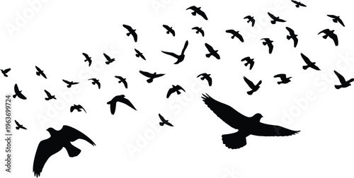 A striking silhouette illustration depicts a large flock of birds in flight with one prominent bird leading the formation
