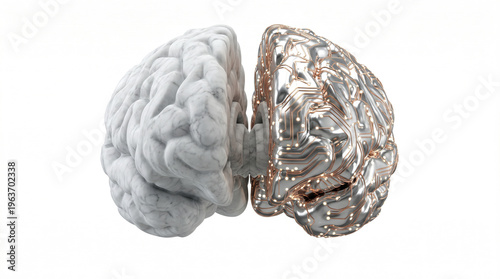 Brain merging with circuit board for artificial intelligence