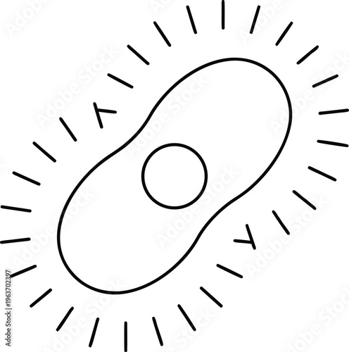 1305 paramecium slipper shaped protozoan with line art vector illustration on transparent background