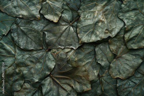 Close up of overlapping dark green leaves creating a beautiful natural textured background, suitable for nature themed projects