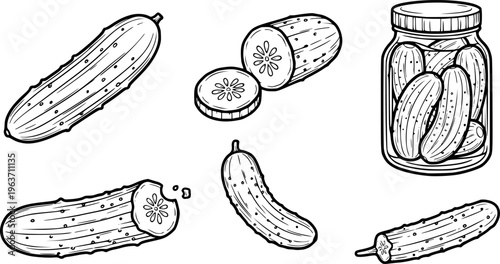 Pickled cucumber set outline sketch vector illustration
