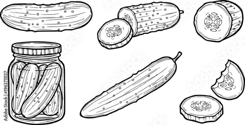 Pickled cucumber set outline sketch vector illustration
