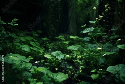 Forest floor covered in green leaves and small blooming plants creating a natural habitat