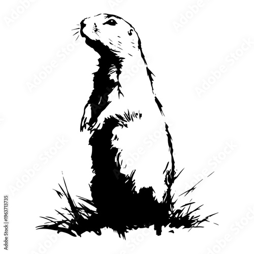 Obraz na płótnie Prairie dog standing upright in black and white grunge vector illustration