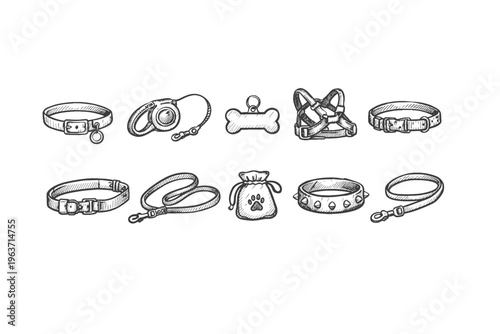 Collection of hand-drawn dog accessories including collars, leashes, and harnesses