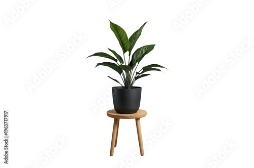 Potted green plant on wooden stool for home decor
