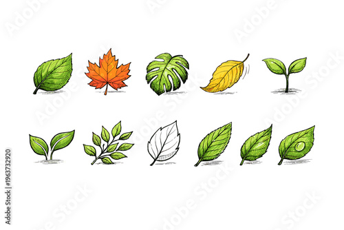 Collection of diverse hand-drawn leaves and seedlings in various colors and styles