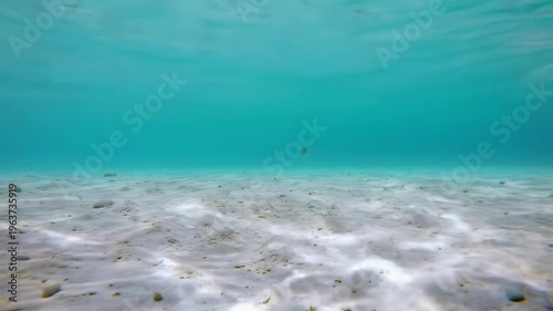 Wallpaper Mural Slow steadicam tracking video above pristine powdery white sandy seabed in shallow vibrant turquoise ocean water with golden sunbeams and caustics, concept of pure natural tranquility Torontodigital.ca