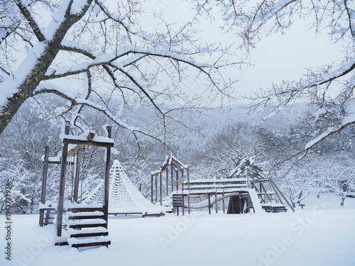 雪に覆われた公園