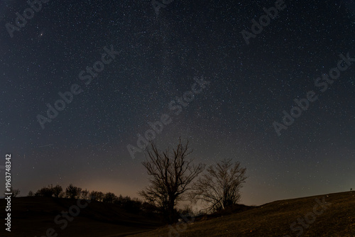 starry night sky